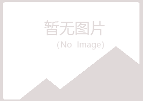 铁法夏日化学有限公司